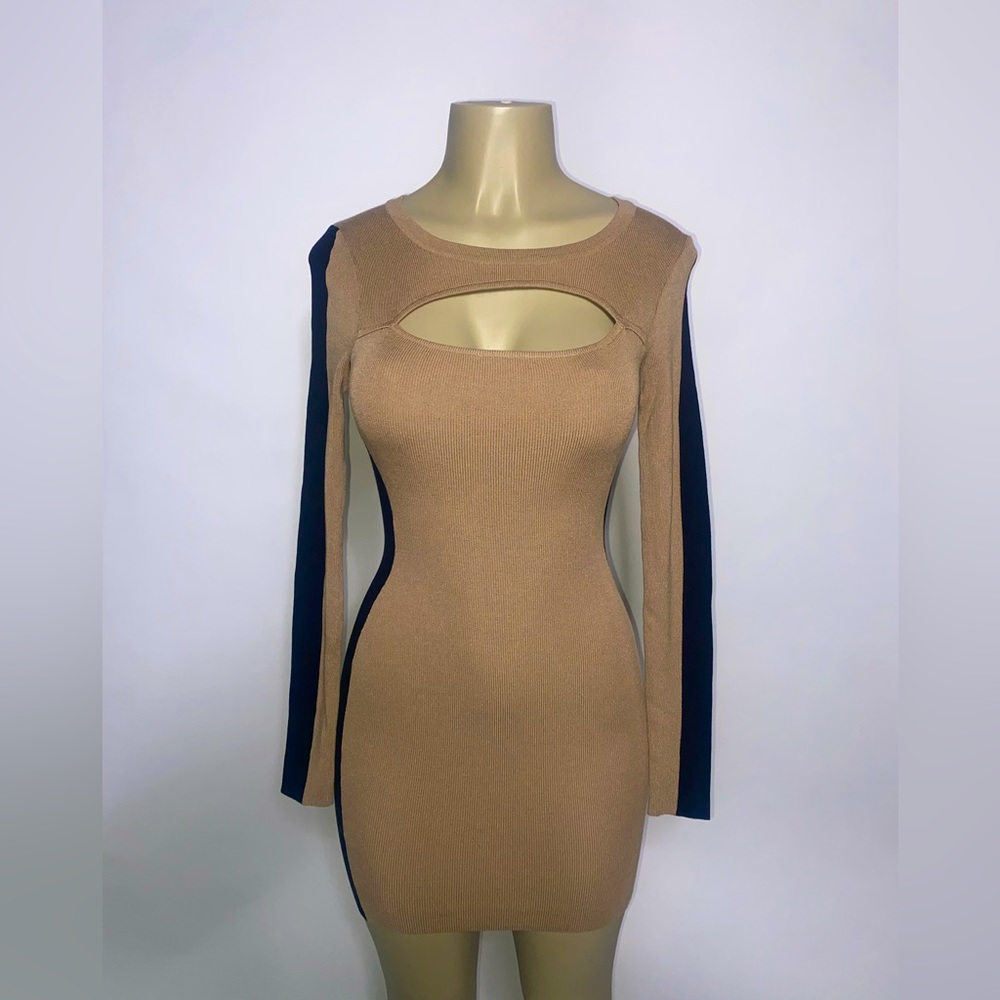 Tan&Black Body on Dress